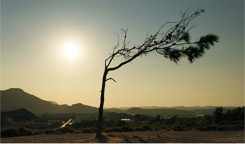 Finding Rootedness in Change